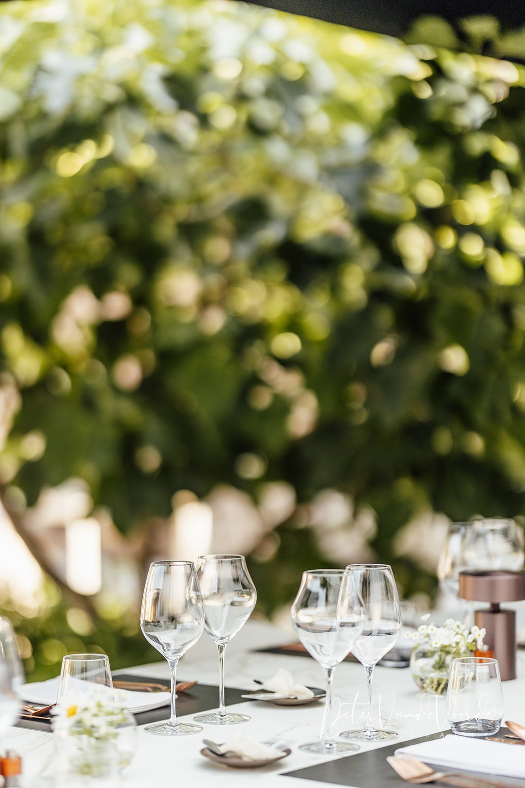 Private Dining Visite 6